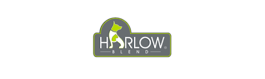 *精選優惠* Harlow Blend 楓葉00貓貓罐頭 80g